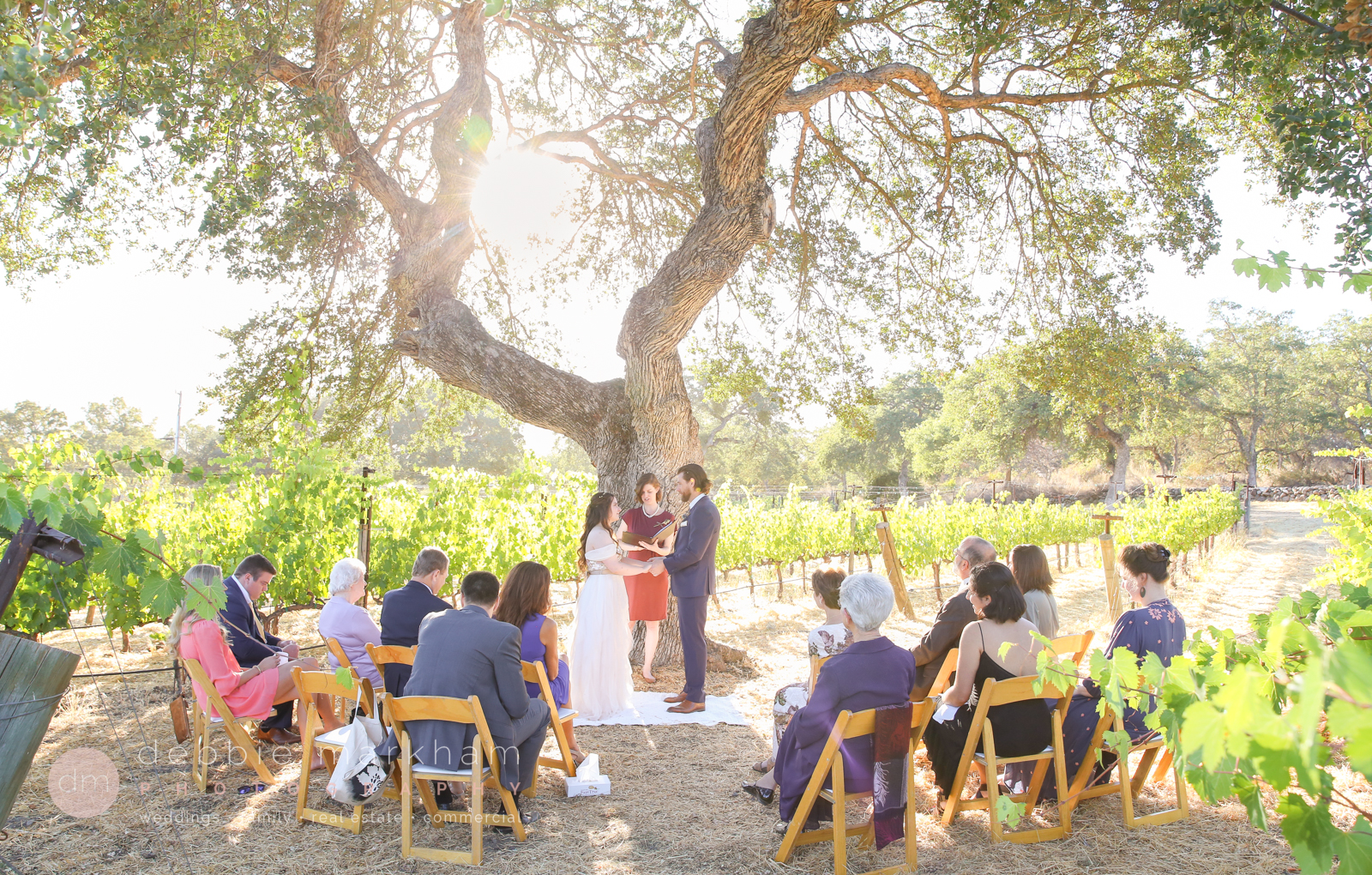 Mesa Del Sol_Intimate wedding_Paso Robles_California