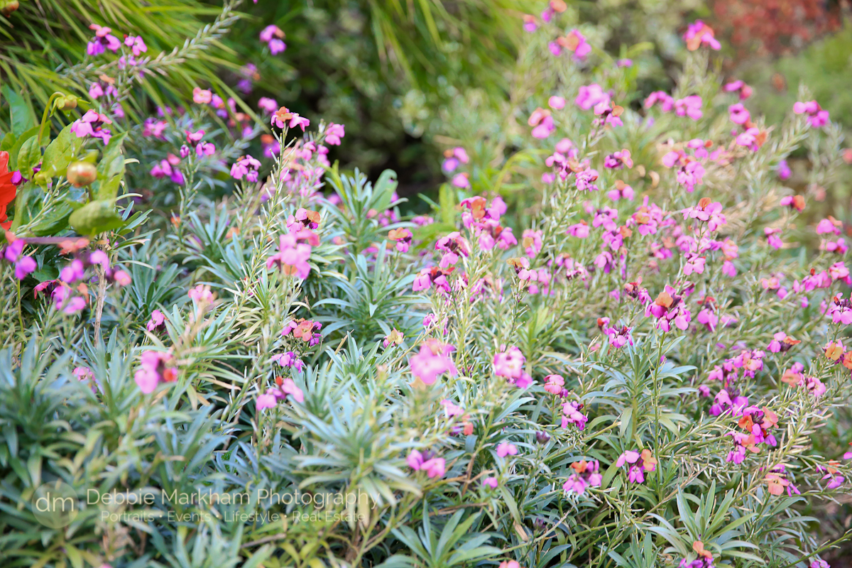 Destination Wedding_Photos_Garden Wedding_Quaint Wedding_Outdoor Reception_Portraits_Robin's Restaurant_Cambria_Photographer_Debbie Markham-0713