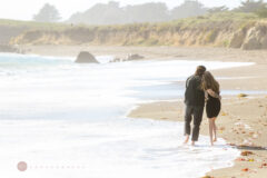 Surprise Proposal and Engagement PHotos