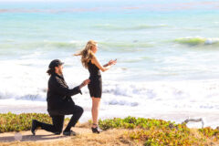 Surprise Proposal and Engagement PHotos