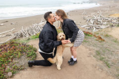 Surprise Proposal and Engagement PHotos