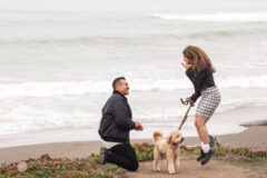 Surprise Proposal in Cambria and Engagement Photos
