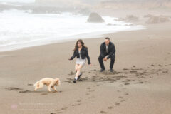 Surprise Proposal and Engagement PHotos