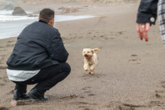 Surprise Proposal and Engagement PHotos