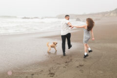 Surprise Proposal and Engagement PHotos