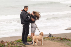 Surprise Proposal and Engagement PHotos